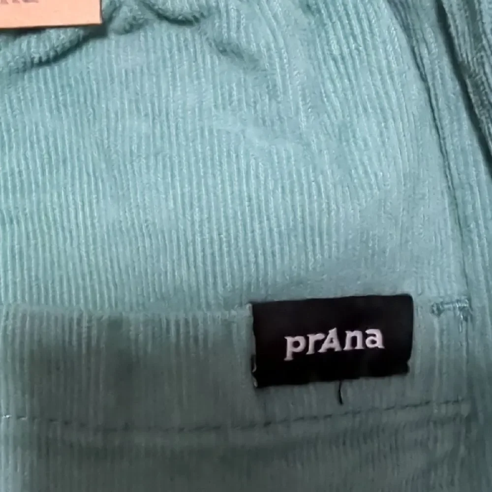 Prana Teal Shorts